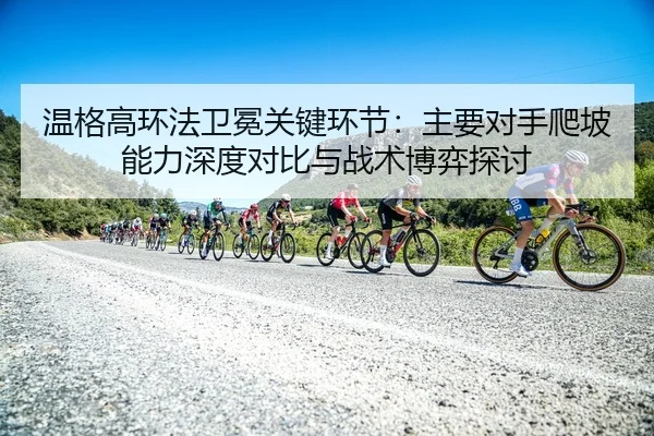 wen-ge-gao-huan-fa-wei-mian-guan-jian-huan-jie-zhu-yao-dui-shou-pa-po-neng-li-shen-du-dui-bi-yu-zhan-shu-bo-yi-tan-tao-2-966.jpg