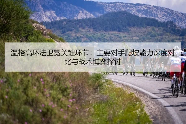 wen-ge-gao-huan-fa-wei-mian-guan-jian-huan-jie-zhu-yao-dui-shou-pa-po-neng-li-shen-du-dui-bi-yu-zhan-shu-bo-yi-tan-tao-3-159.jpg