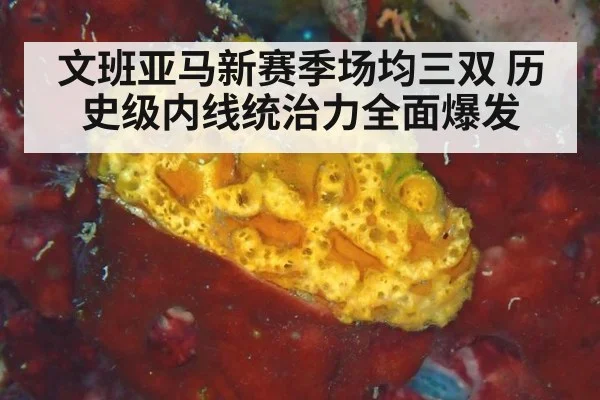 文班亚马新赛季场均三双 历史级内线统治力全面爆发
