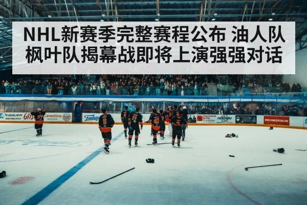 ice hockey arena crowd